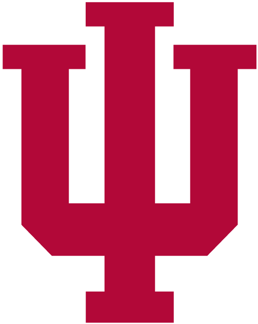 Indiana Hoosiers 2002-Pres Primary Logo iron on transfers for clothing